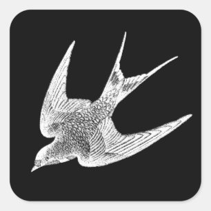 Vintage Swallow Illustration - 1800's Antique Bir Square Sticker
