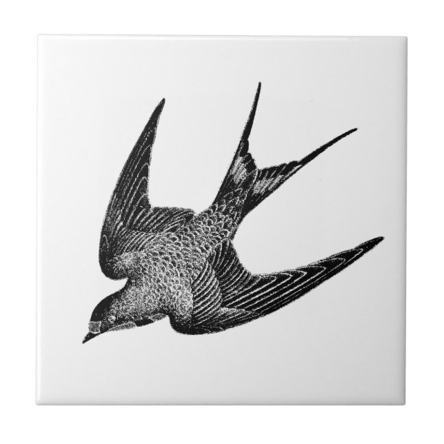 Vintage Swallow Illustration - 1800's Antique Bird Tile (Front)