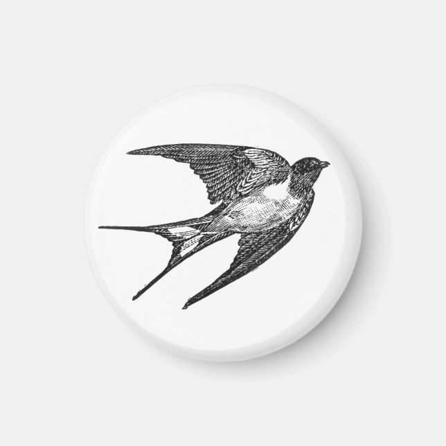 Vintage Swallow small magnet (Front)