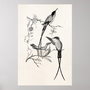 Vintage Swallowtail Hummingbirds Personalised Bird Poster