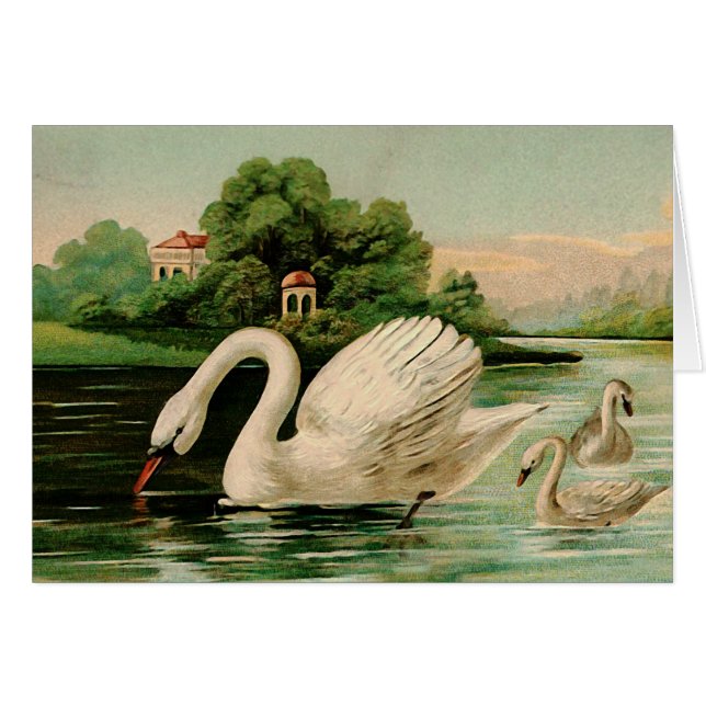 Vintage Swan in the Lake (Front Horizontal)
