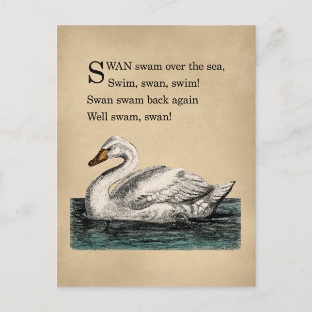 Vintage Swan Tongue Twister Postcard (Front)