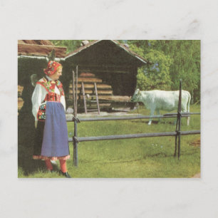 Vintage Sweden,  Traditional farmyard scene Postcard