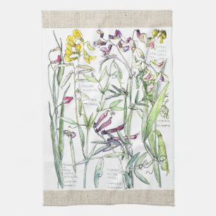Vintage Sweet Pea Vetch Flowers Kitchen Towels