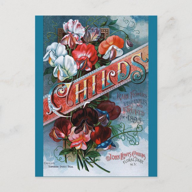 Vintage Sweet Peas Postcard (Front)