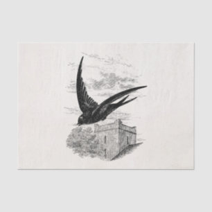 Vintage Swift Swallow Bird Illustration Template Tissue Paper