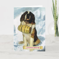 Vintage Switzerland, St Bernard dog,