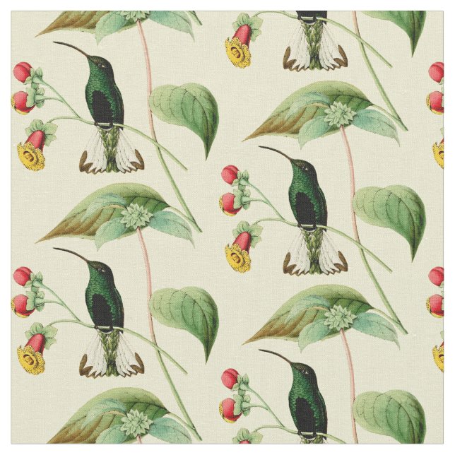 Vintage Sword Billed Hummingbird Fabric (Close Up)