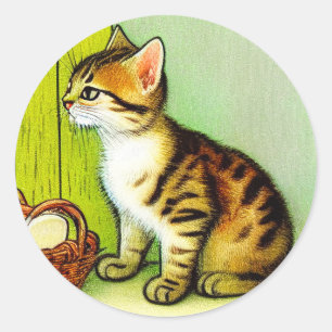 Vintage Tabby Cat Illustration Classic Round Sticker