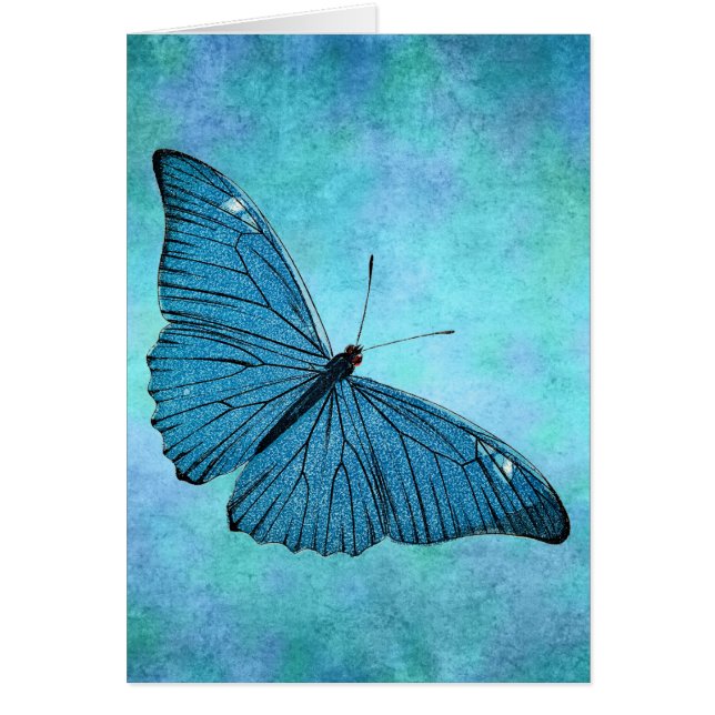 Vintage Teal Blue Butterfly 1800s Illustration (Front)