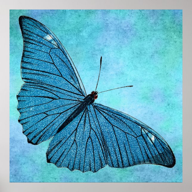Vintage Teal Blue Butterfly 1800s Illustration Poster (Front)