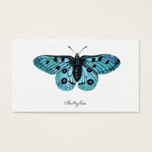 Vintage Teal Blue Butterfly Illustration - 1800's