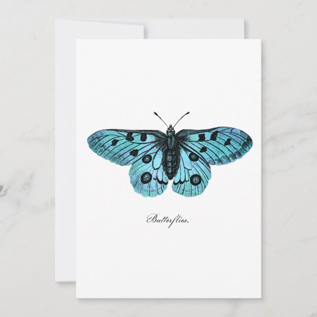 Vintage Teal Blue Butterfly Illustration - 1800's (Front)