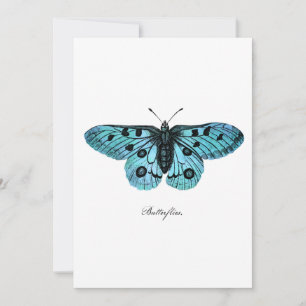 Vintage Teal Blue Butterfly Illustration - 1800's