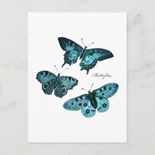 Vintage Teal Blue Butterfly Illustration - 1800's Postcard