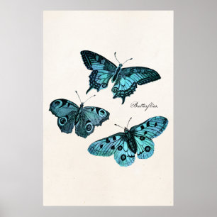 Vintage Teal Blue Butterfly Illustration Template Poster