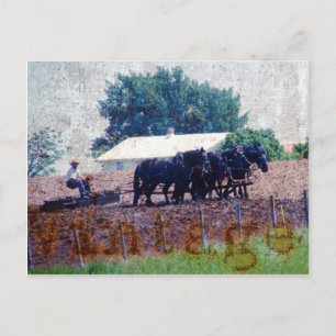 Vintage Team Work Postcard