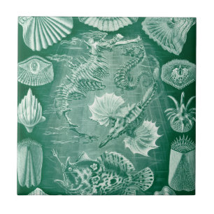 Vintage Teleostei Shells and Fish by Ernst Haeckel Ceramic Tile