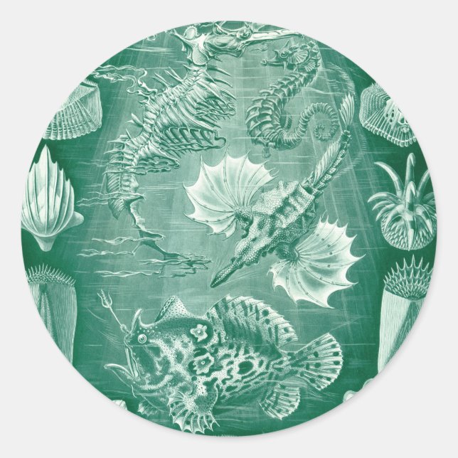 Vintage Teleostei Shells and Fish by Ernst Haeckel Classic Round Sticker (Front)