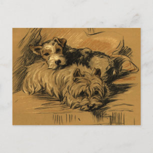 Vintage Terrier and Westie Postcard