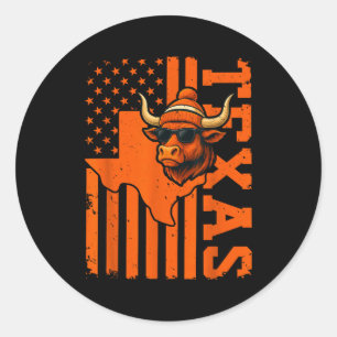 Vintage Texas Graphic Texas Lovers Men Women Kids Classic Round Sticker