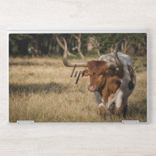 Vintage Texas Longhorn Bull Curved Twisted Horns HP Laptop Skin