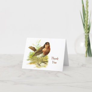 Vintage - Thank You - Red-Breasted Robin, Card