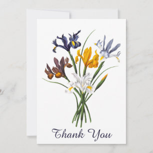 Vintage Thank you Spanish Iris greeting card