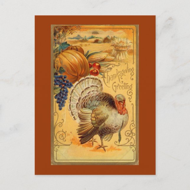Vintage Thanksgiving Greeting Holiday Postcard (Front)
