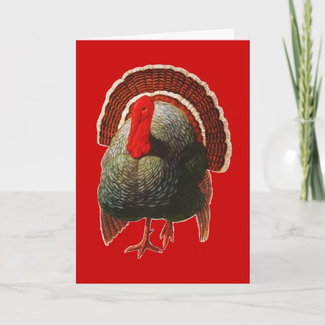 Vintage Thanksgiving Turkey Holiday Card (Front)