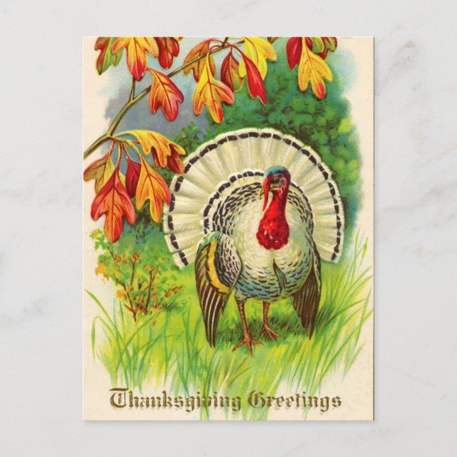 Vintage Thanksgiving Turkey Holiday Postcard (Front)