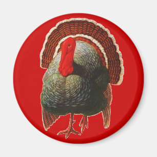 Vintage Thanksgiving Turkey Magnet