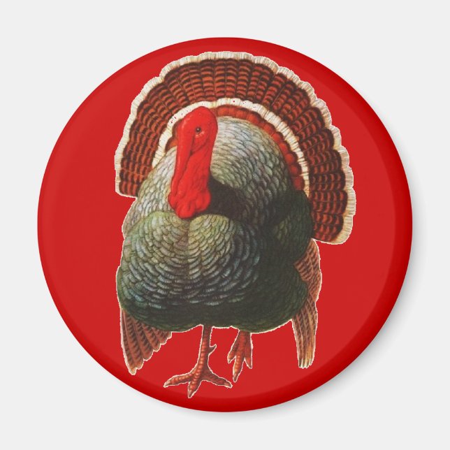 Vintage Thanksgiving Turkey Magnet (Front)