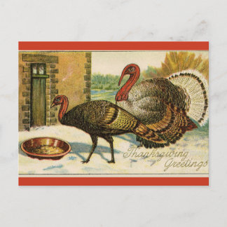 Vintage Thanksgiving Turkeys Eating Postcard