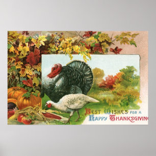 Vintage Thanksgiving, Wild Turkeys Autumn Colours Poster