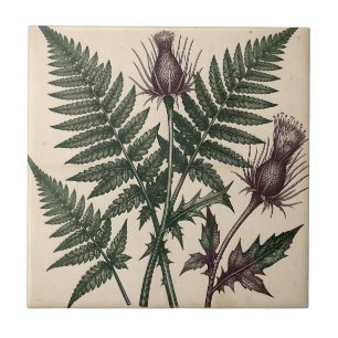 Vintage Thistle and Fern Botanical Ceramic Tile