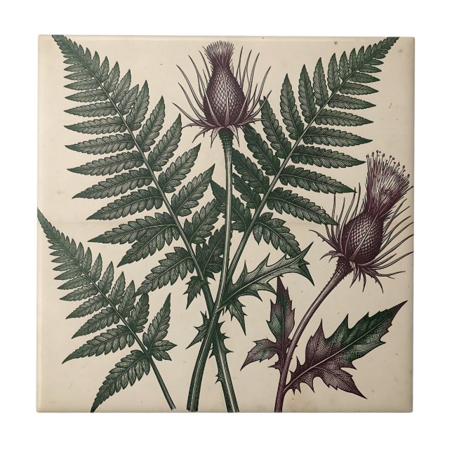 Vintage Thistle and Fern Botanical Ceramic Tile (Front)