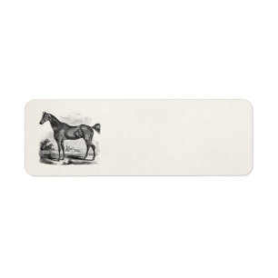 Vintage Thoroughbred Horse Equestrian Personalised Return Address Label