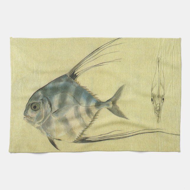 Vintage Threadfin Trevally, African Pompano Fish Tea Towel (Horizontal)