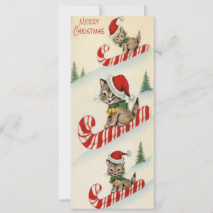 Vintage Three Adorable Kittens on Candy Can