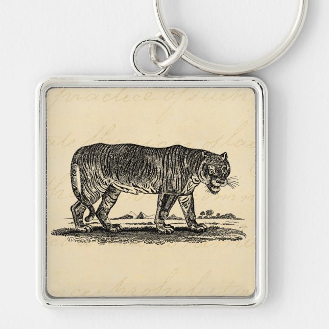 Vintage Tiger Illustration - 1800's Tigers African Key Ring (Front)