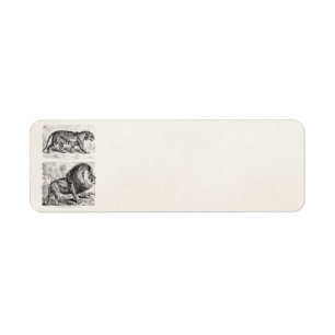 Vintage Tiger Illustration Tigers Template Return Address Label
