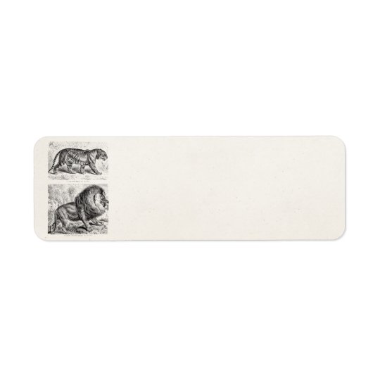Vintage Tiger Illustration Tigers Template Return Address Label