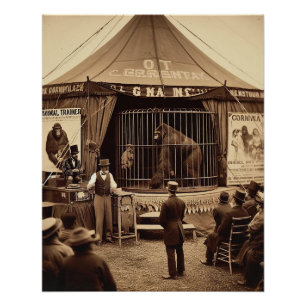 Vintage Tintype photo of a circus gorilla (1920s) Poster