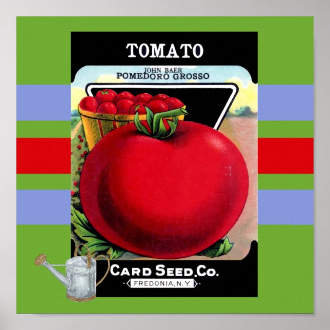 Vintage Tomato Seed Poster (Front)