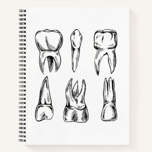 Vintage Tooth Anatomy Dental Spiral Notebook, Dent Notebook