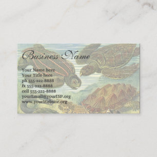 Vintage Tortoises and Sea Turtles by Ernst Haeckel Business Card