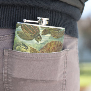 Vintage Tortoises and Sea Turtles by Ernst Haeckel Hip Flask