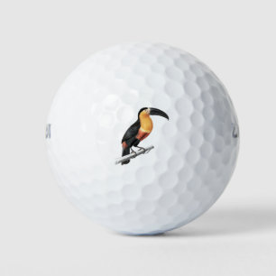 Vintage toucan bird golf balls