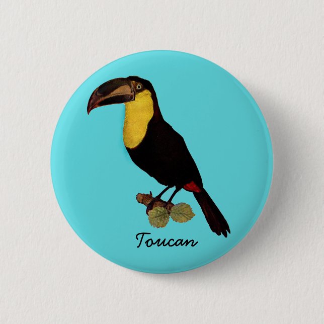 VINTAGE TOUCAN BIRD. YELLOW-THROATED TOUCAN PIN (Front)